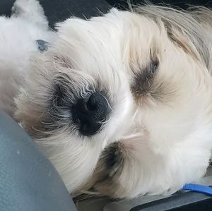 Meet your Posher, Diana